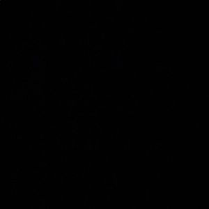 Meet your Posher, Jonas